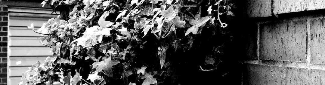 Leafy